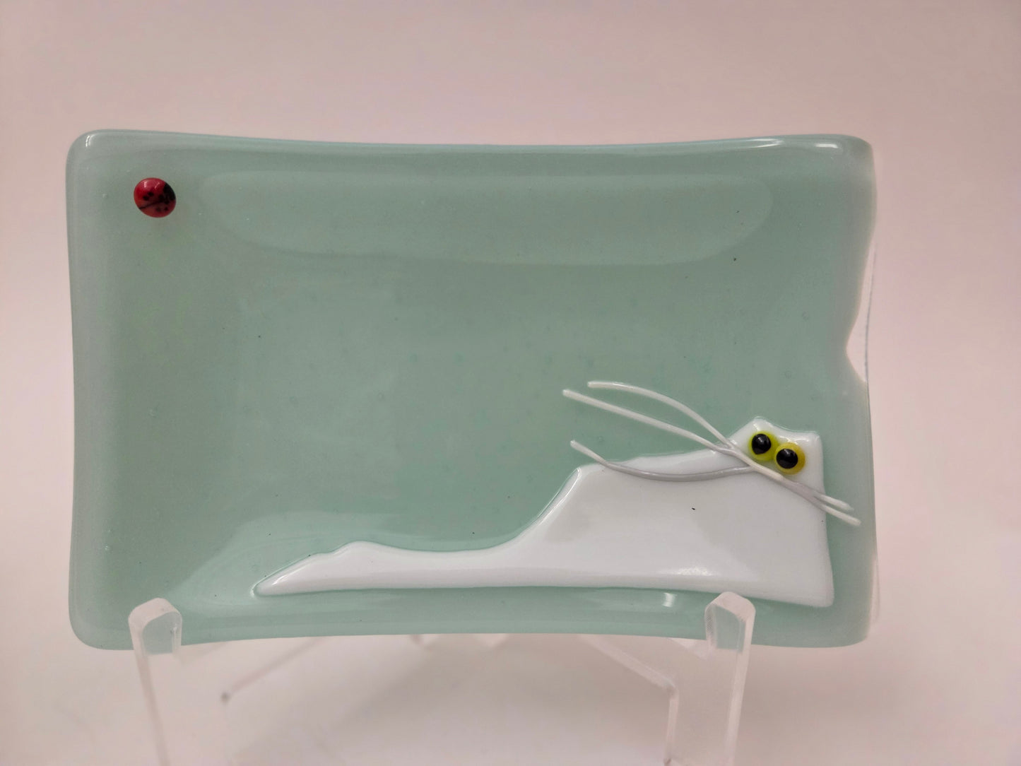 Cats & Bugs 008