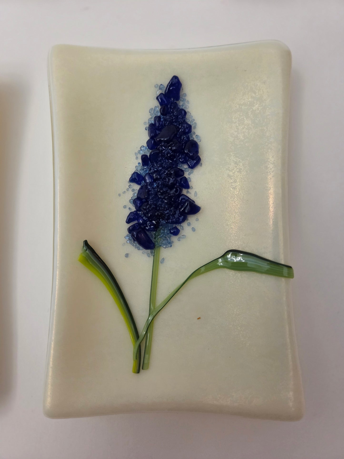 Blue Bonnets 001