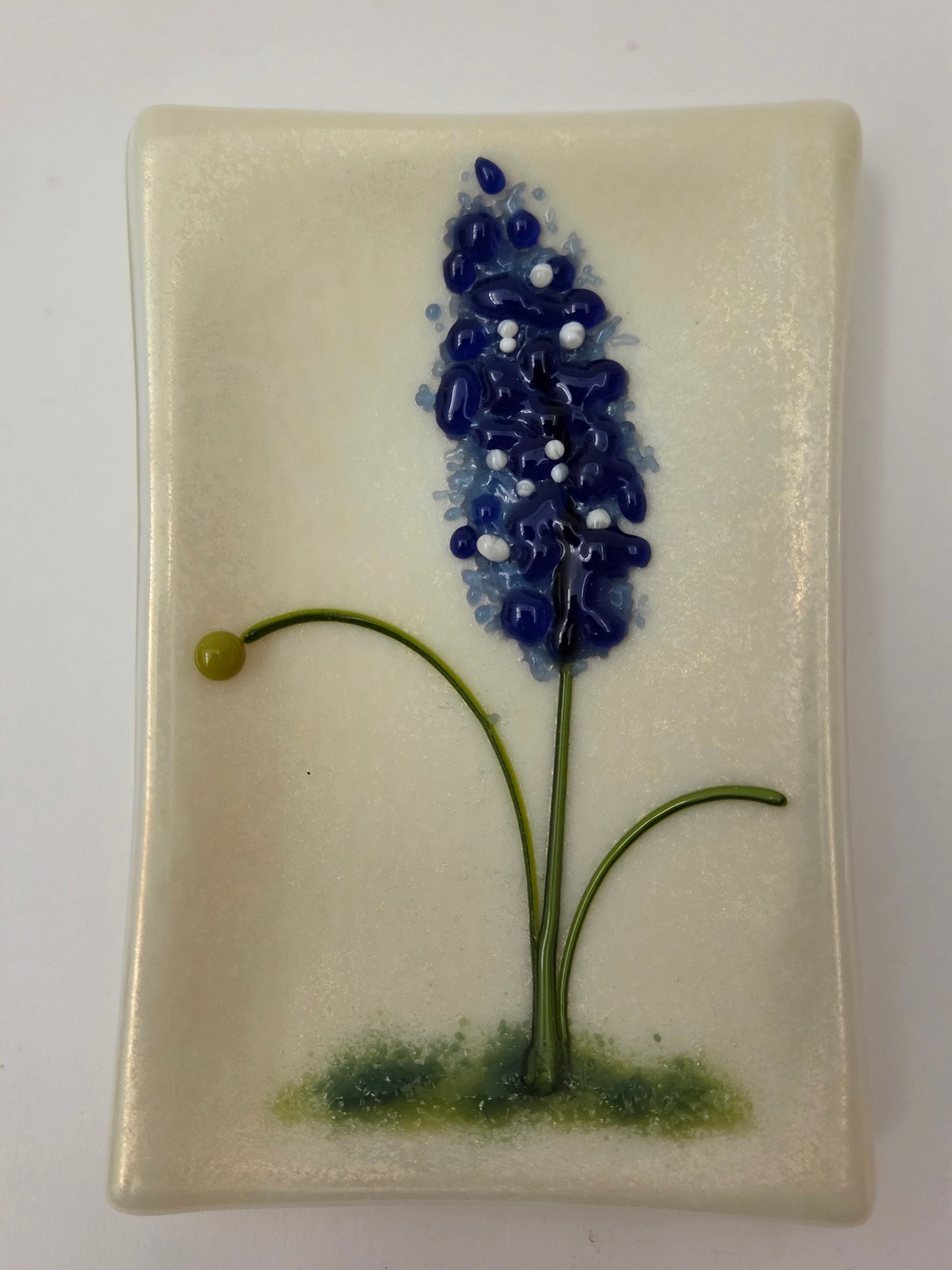 Blue Bonnets 003