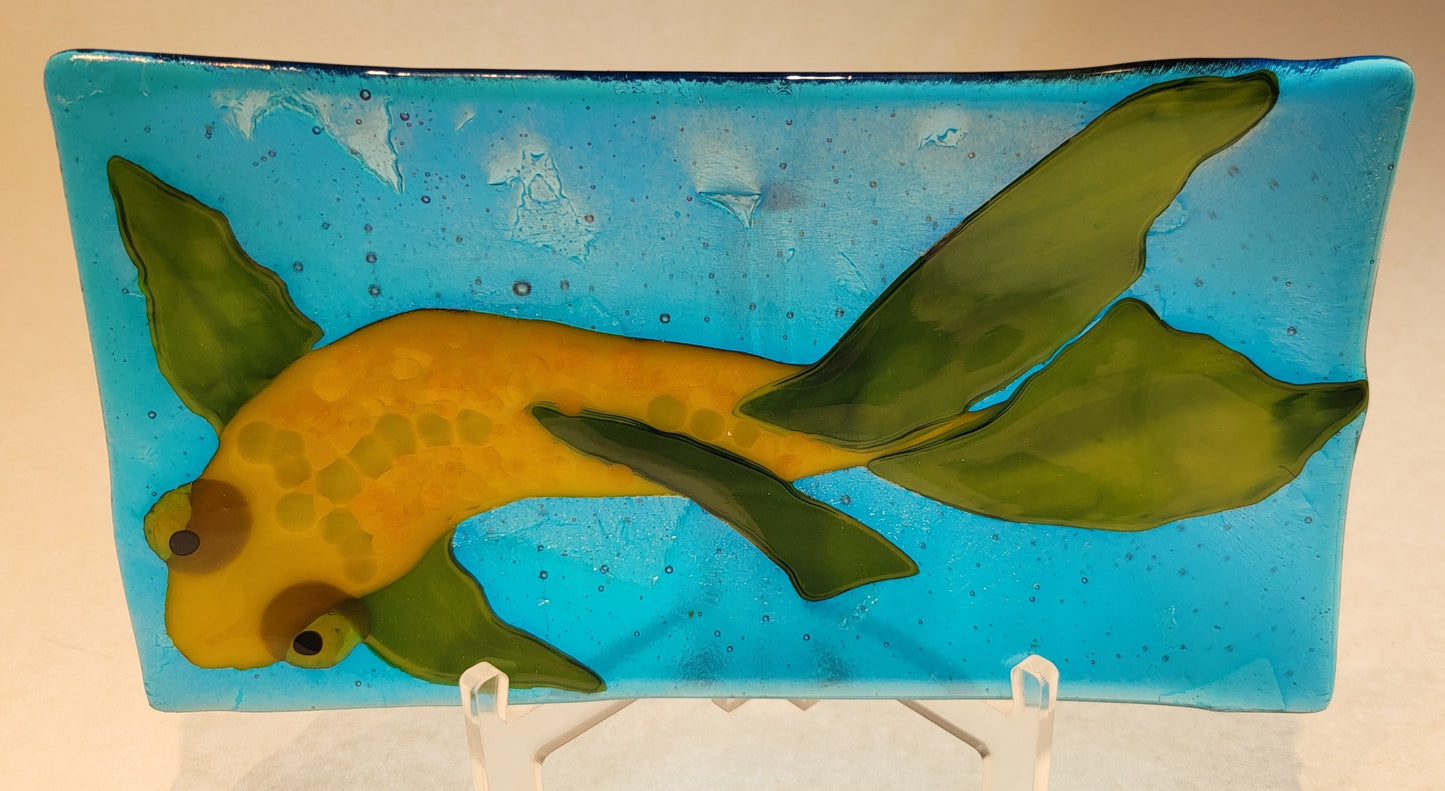 The Coy Yellow Koi
