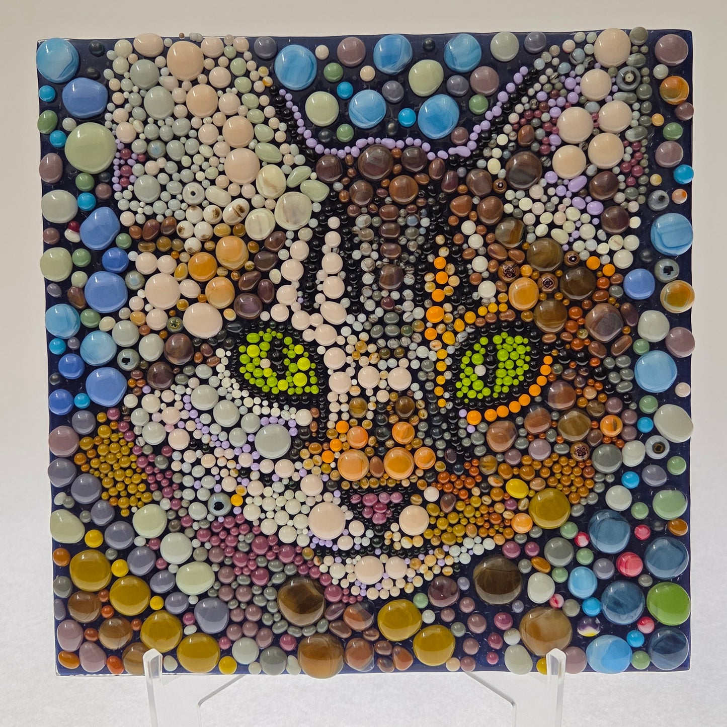 Mr. Kitty