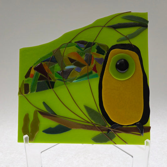 Toucan