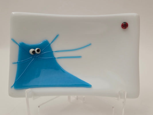 Cats & Bugs 004