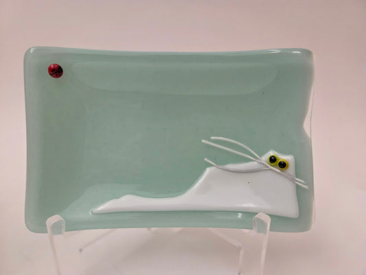 Cats & Bugs 008