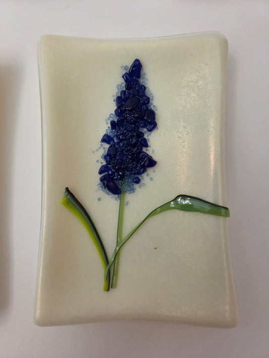 Blue Bonnets 001
