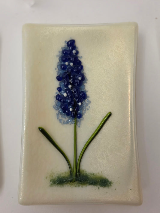 Blue Bonnets 002