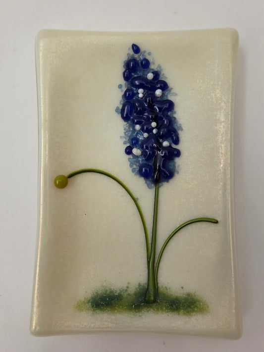 Blue Bonnets 003