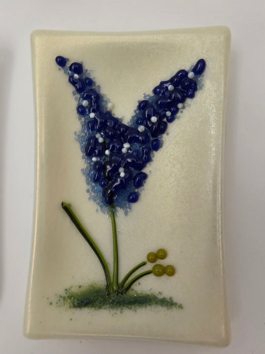 Blue Bonnets 004