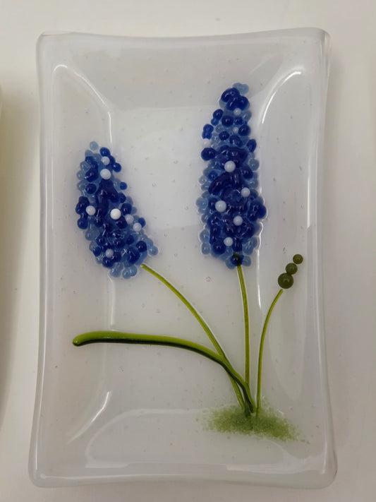 Blue Bonnets 005
