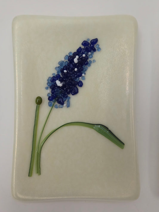 Blue Bonnets 006