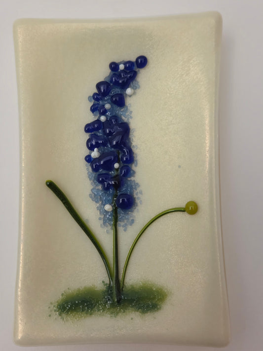 Blue Bonnets 007