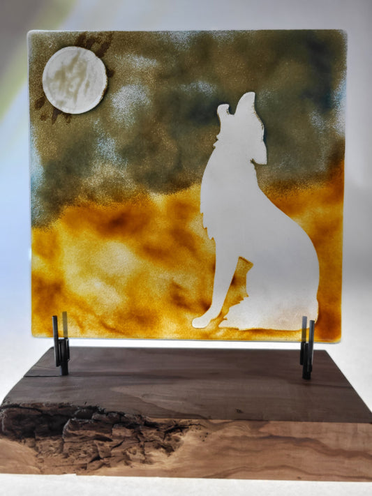 Howling  Coyote