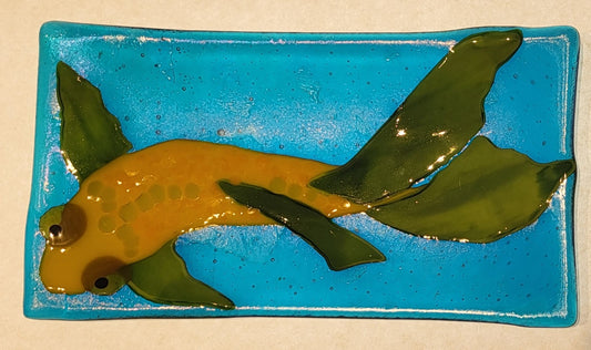 The Coy Yellow Koi
