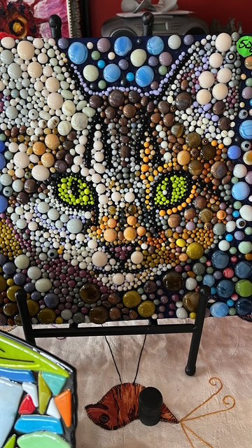Mr.Kitty