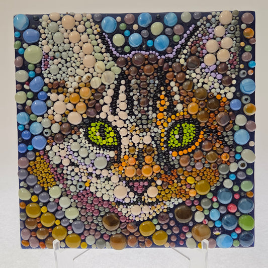 Mr. Kitty