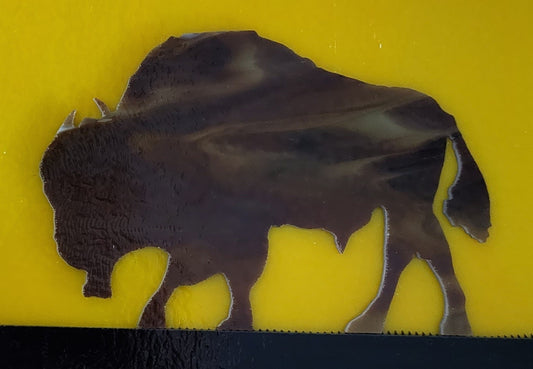 BISON for Paul